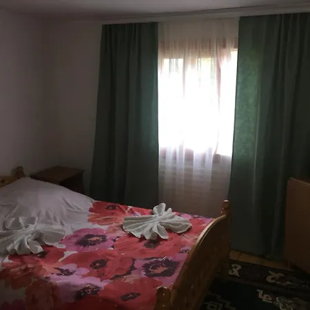 котедж у в'ячеслава * Jaremče